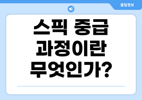 스픽 중급 과정이란 무엇인가?