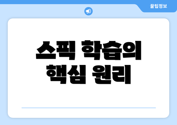 스픽 학습의 핵심 원리
