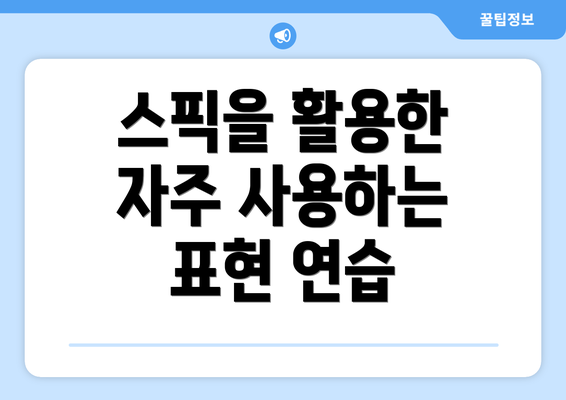 스픽을 활용한 자주 사용하는 표현 연습