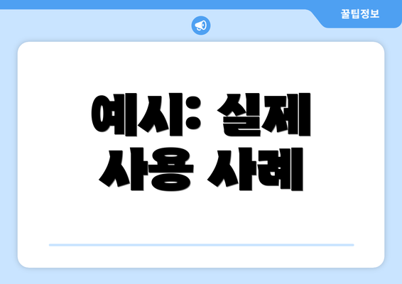예시: 실제 사용 사례