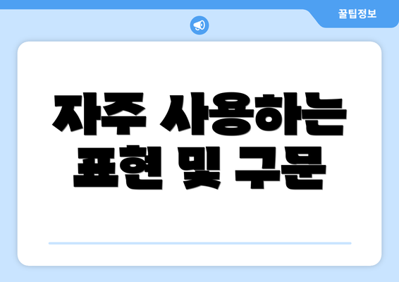 자주 사용하는 표현 및 구문