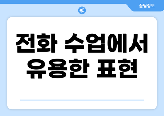 전화 수업에서 유용한 표현