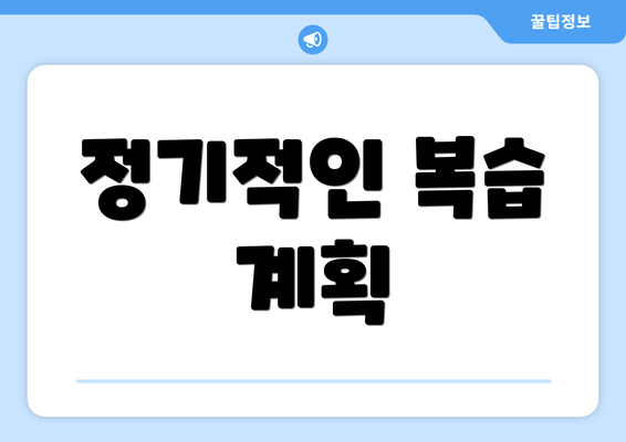 정기적인 복습 계획