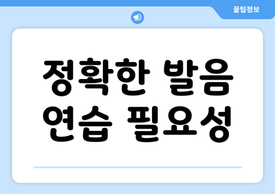 정확한 발음 연습 필요성