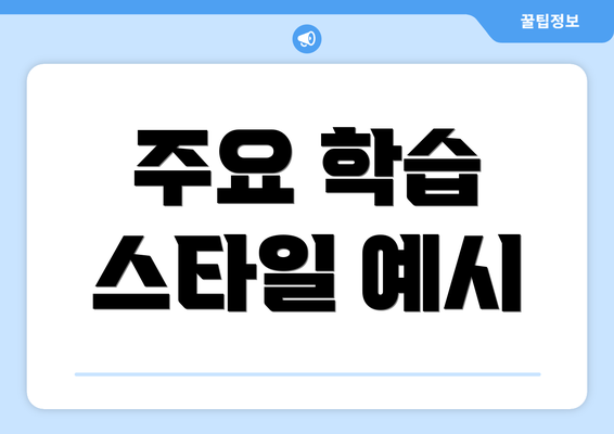 주요 학습 스타일 예시