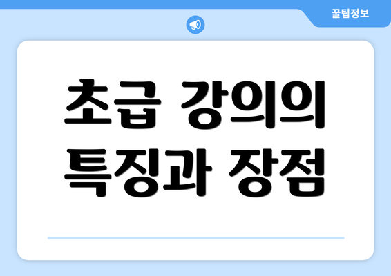 초급 강의의 특징과 장점