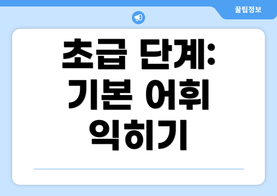 초급 단계: 기본 어휘 익히기