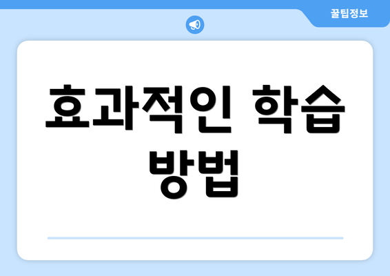 효과적인 학습 방법