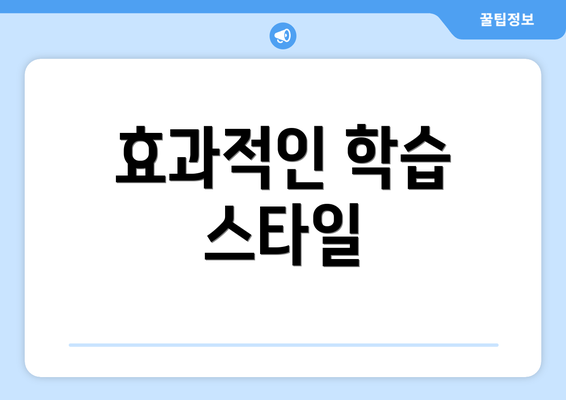 효과적인 학습 스타일