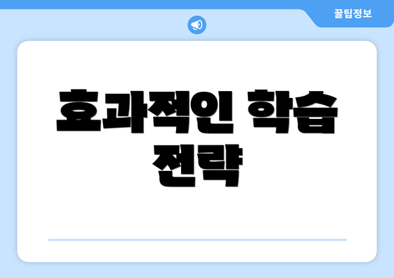 효과적인 학습 전략